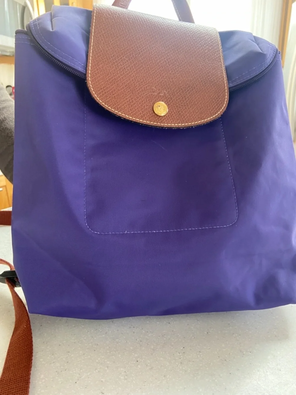 Purple Longchamp Le Pliage Lined Nylon Mini Backpack with Cognac Trim - Picture 5 of 16